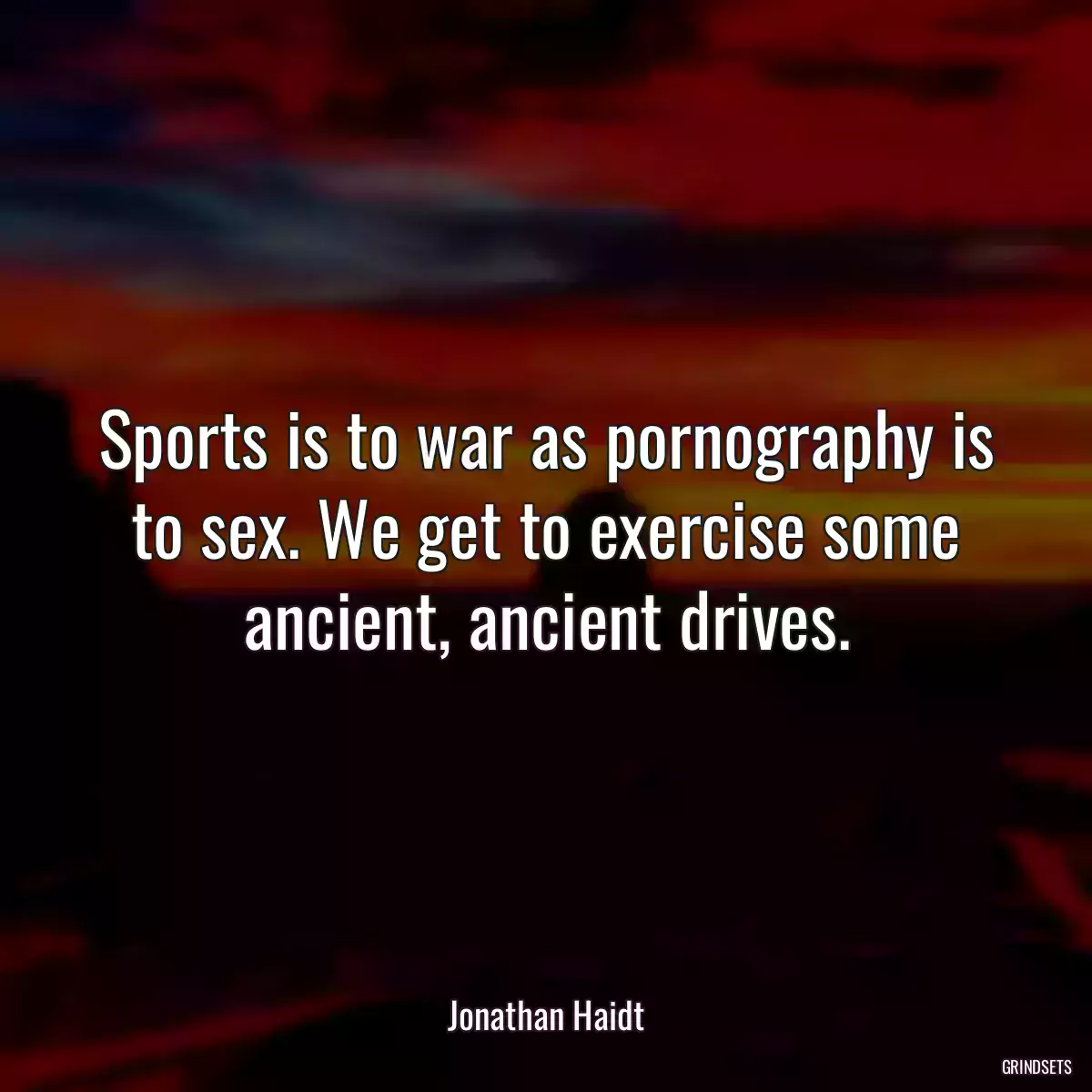 Sports is to war as pornography is to sex. We get to exercise some ancient, ancient drives.