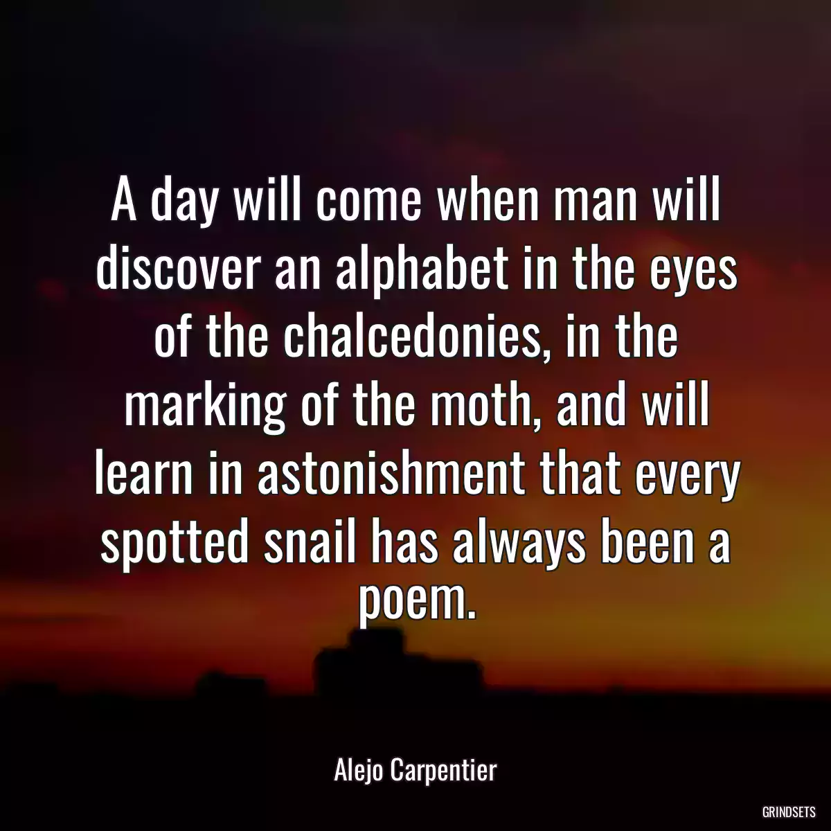 A day will come when man will discover an alphabet in the eyes of the chalcedonies, in the marking of the moth, and will learn in astonishment that every spotted snail has always been a poem.