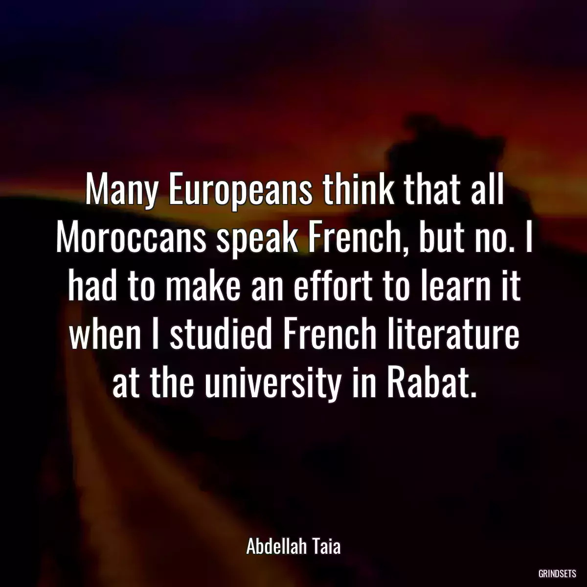 Many Europeans think that all Moroccans speak French, but no. I had to make an effort to learn it when I studied French literature at the university in Rabat.