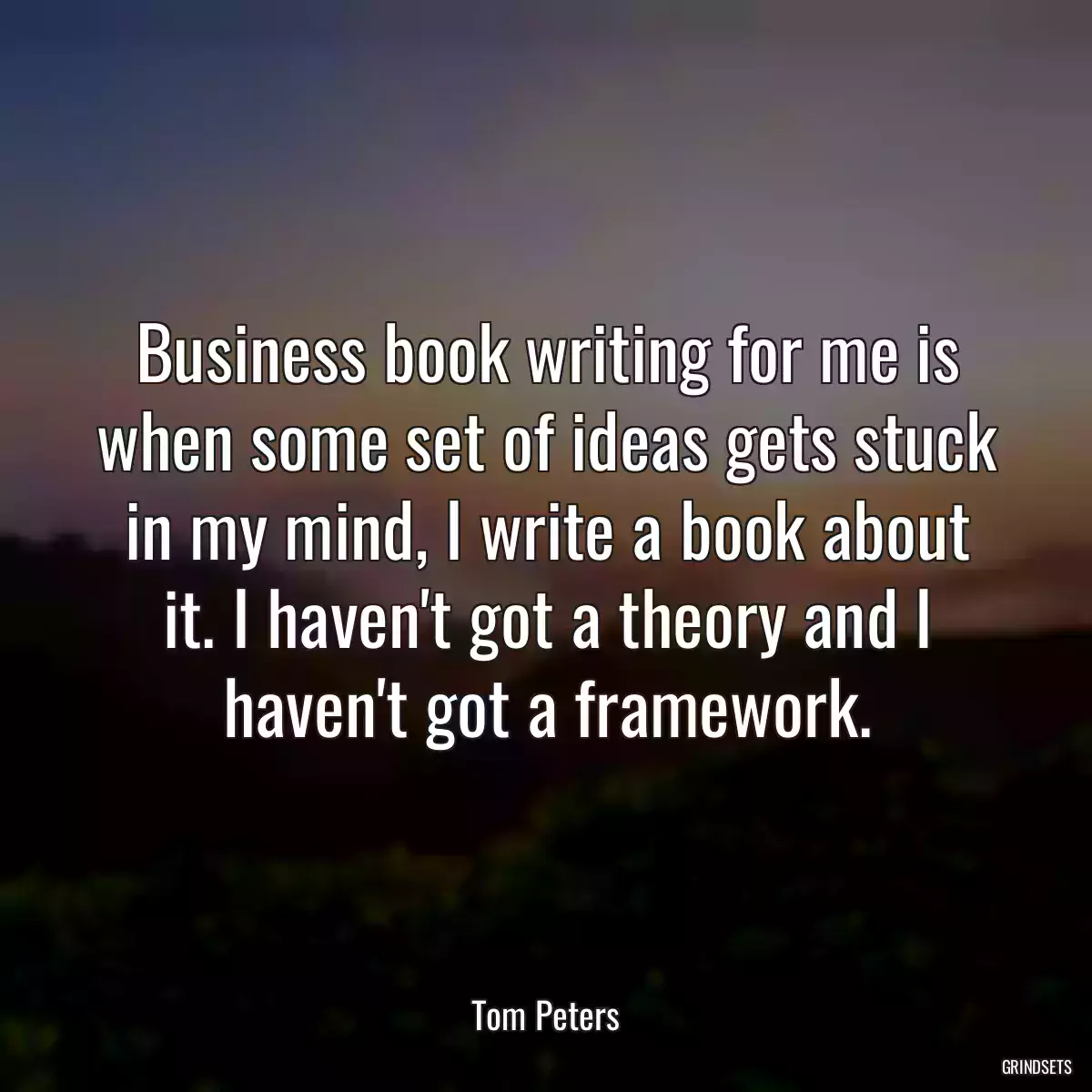 Business book writing for me is when some set of ideas gets stuck in my mind, I write a book about it. I haven\'t got a theory and I haven\'t got a framework.