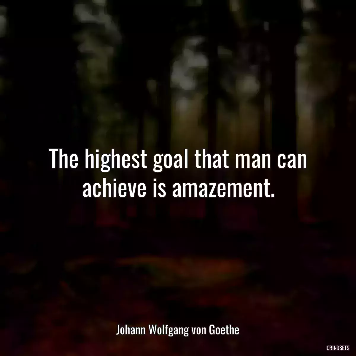 The highest goal that man can achieve is amazement.