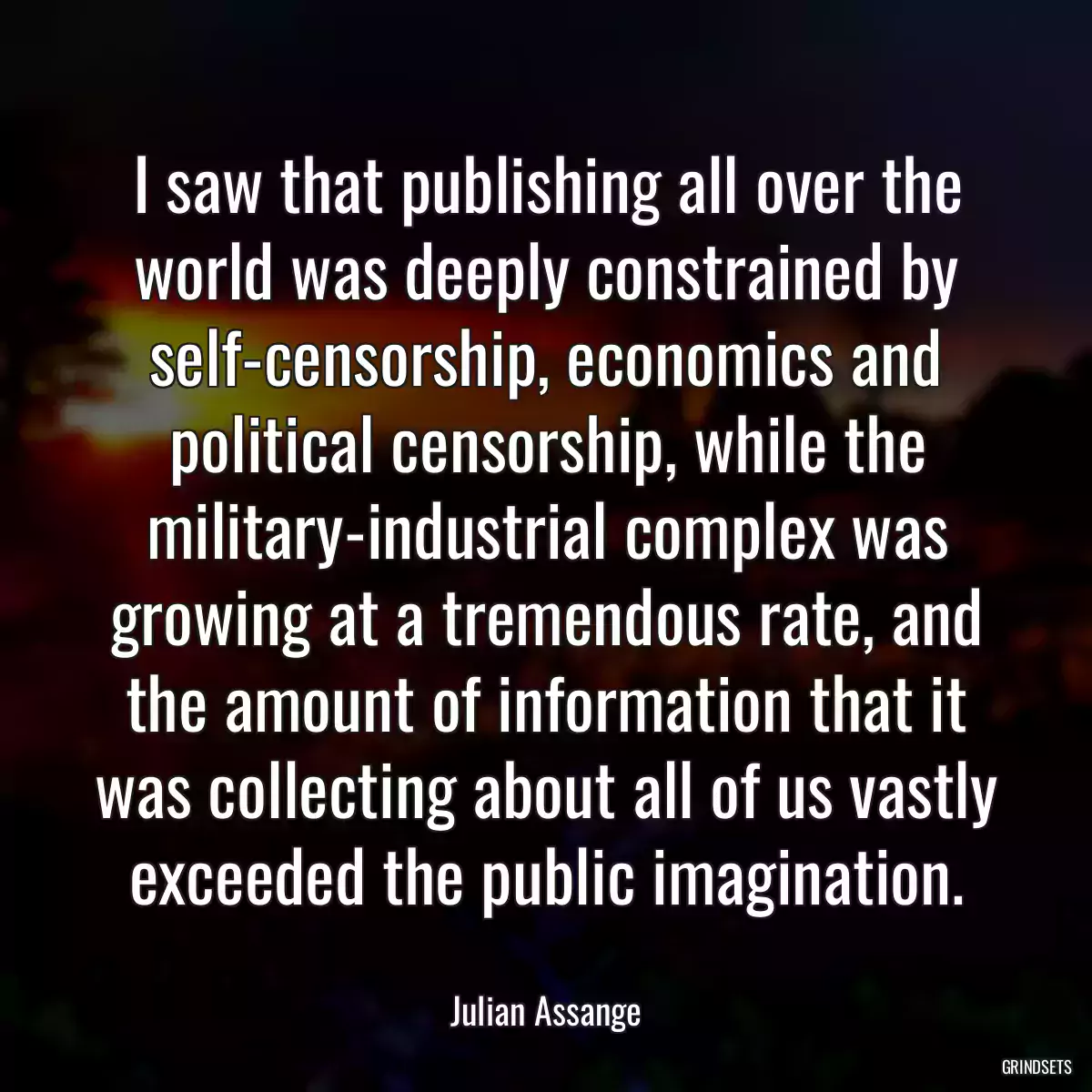 I saw that publishing all over the world was deeply constrained by self-censorship, economics and political censorship, while the military-industrial complex was growing at a tremendous rate, and the amount of information that it was collecting about all of us vastly exceeded the public imagination.