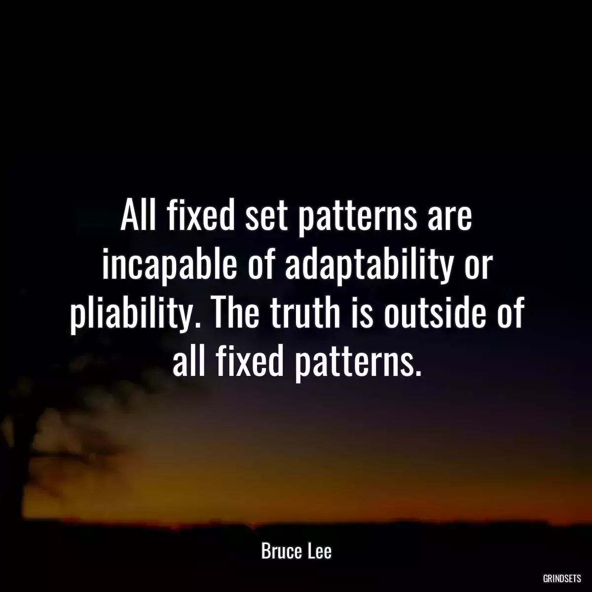 All fixed set patterns are incapable of adaptability or pliability. The truth is outside of all fixed patterns.