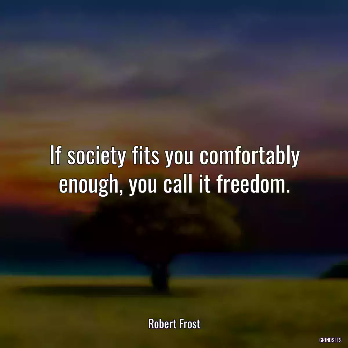 If society fits you comfortably enough, you call it freedom.