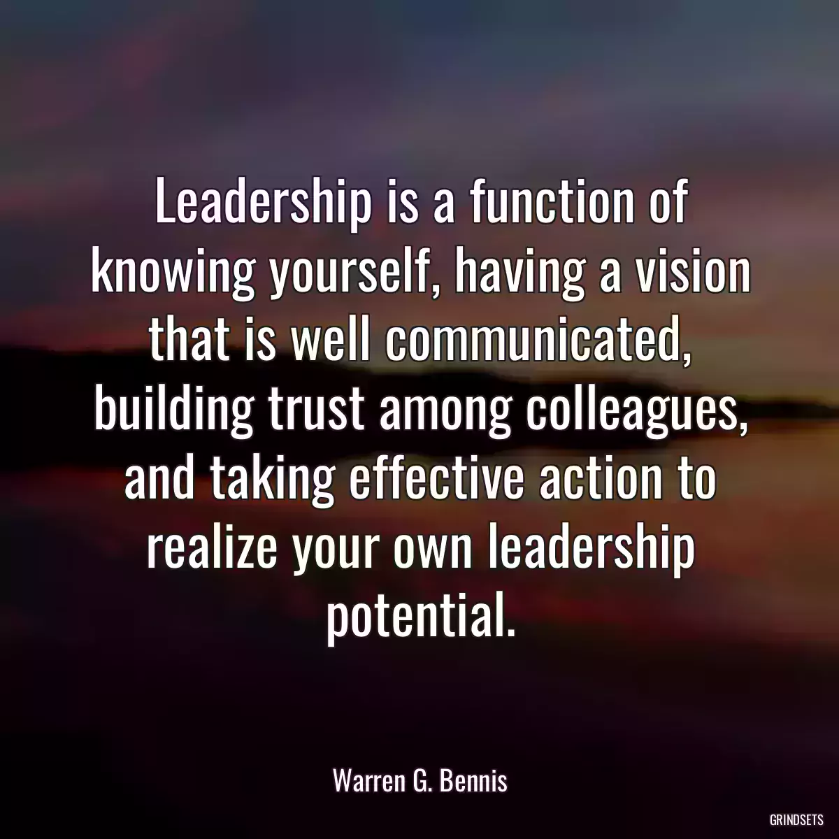 Leadership is a function of knowing yourself, having a vision that is well communicated, building trust among colleagues, and taking effective action to realize your own leadership potential.