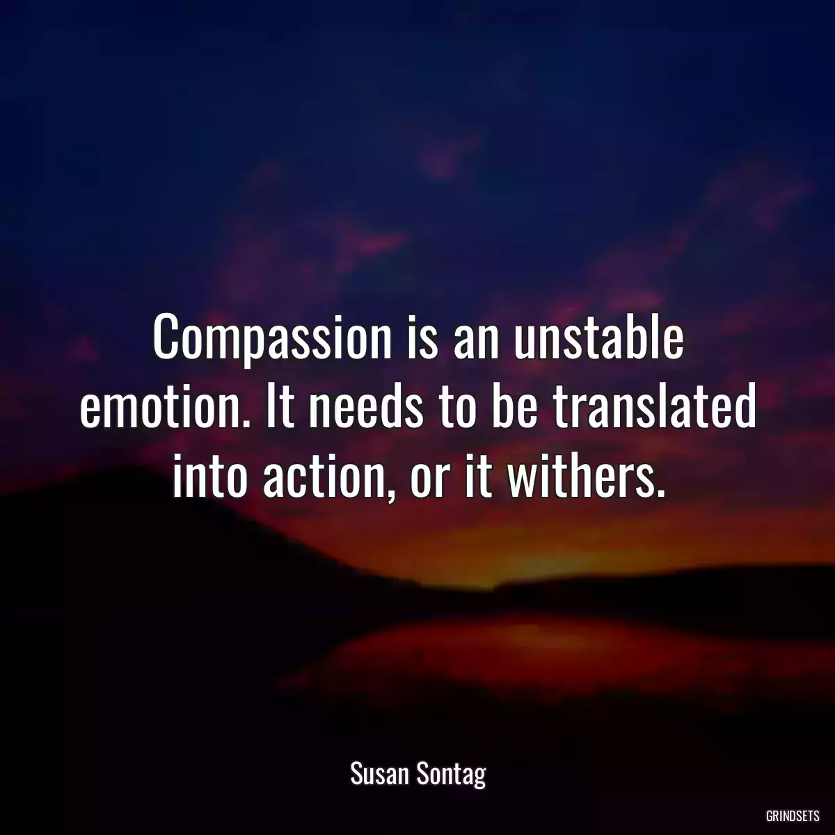 Compassion is an unstable emotion. It needs to be translated into action, or it withers.