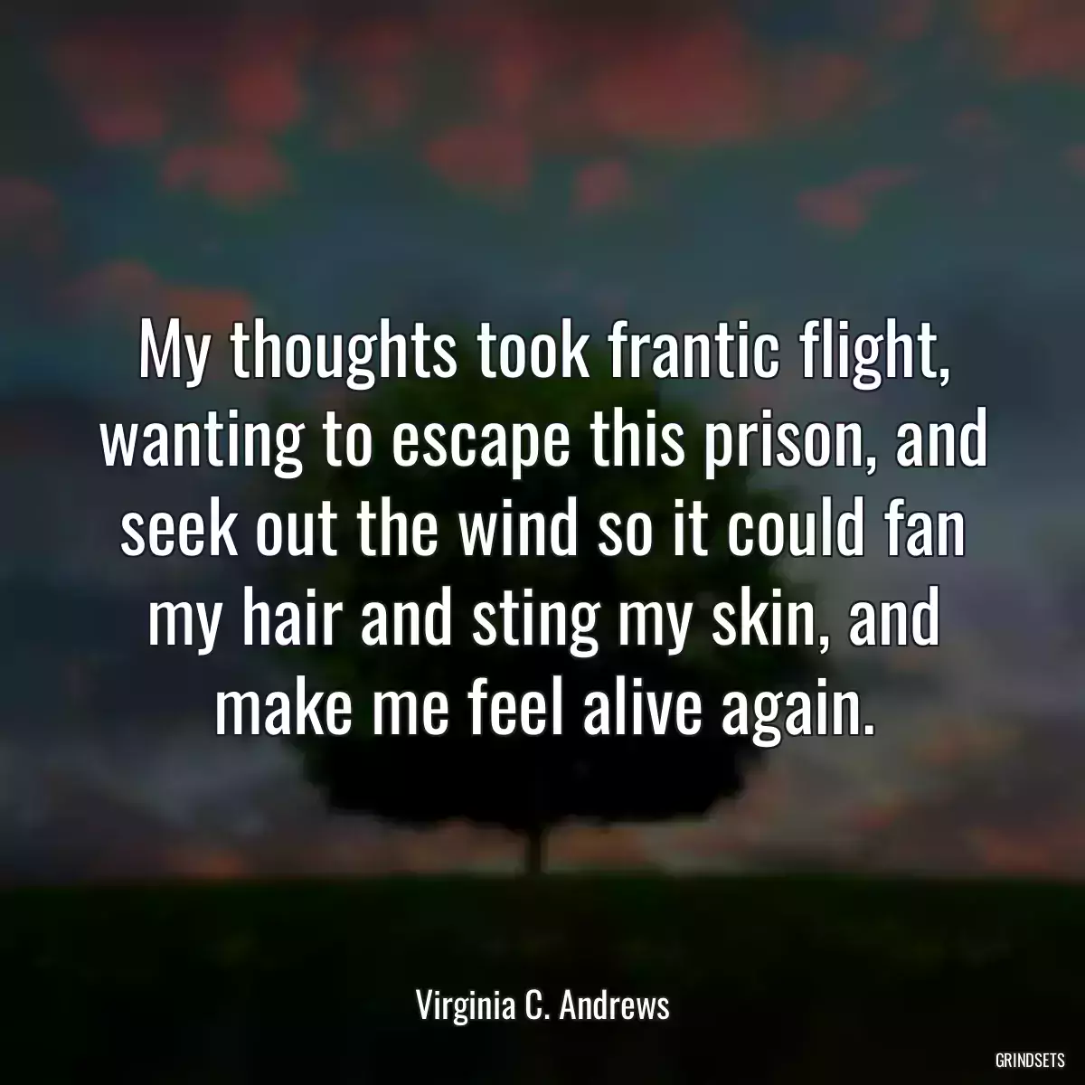 My thoughts took frantic flight, wanting to escape this prison, and seek out the wind so it could fan my hair and sting my skin, and make me feel alive again.