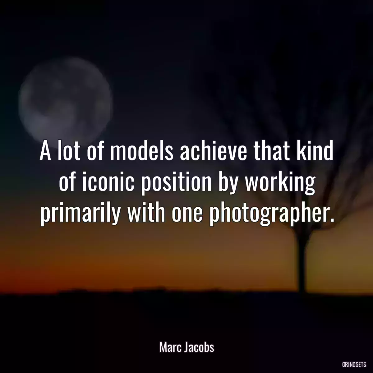 A lot of models achieve that kind of iconic position by working primarily with one photographer.