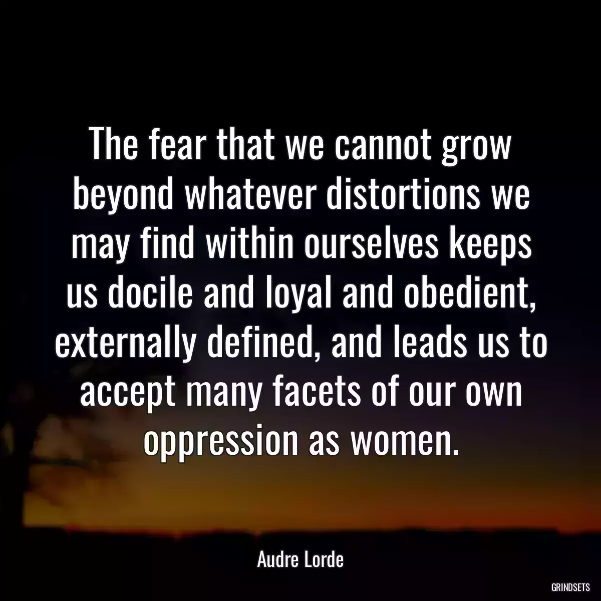 The fear that we cannot grow beyond whatever distortions we may find within ourselves keeps us docile and loyal and obedient, externally defined, and leads us to accept many facets of our own oppression as women.