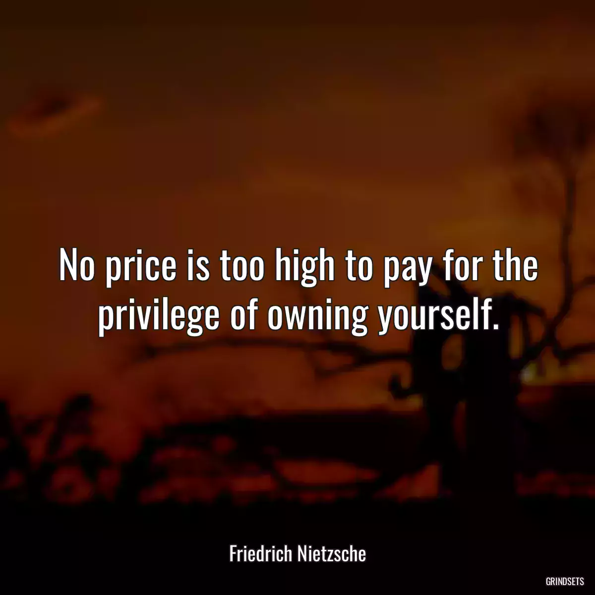 No price is too high to pay for the privilege of owning yourself.