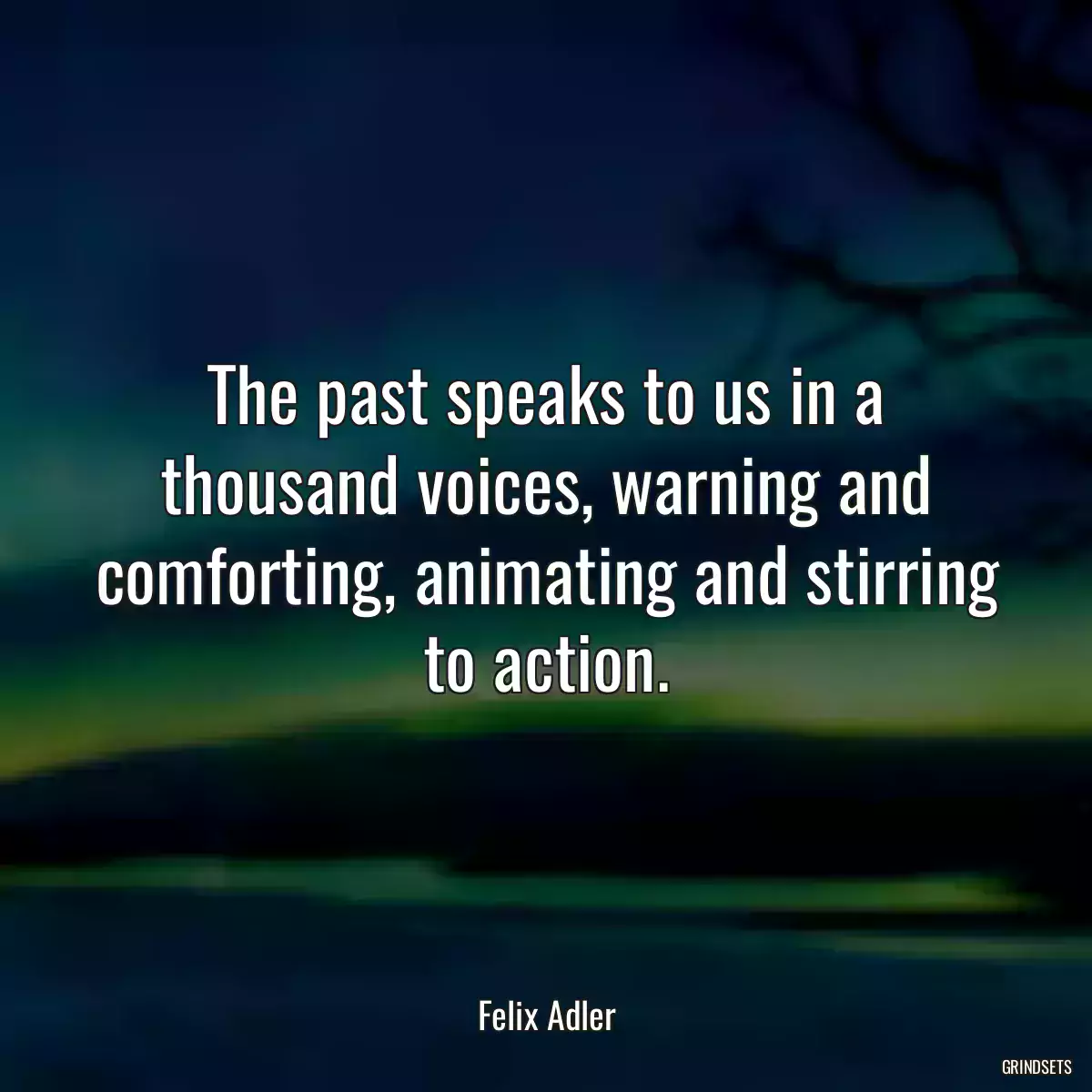 The past speaks to us in a thousand voices, warning and comforting, animating and stirring to action.