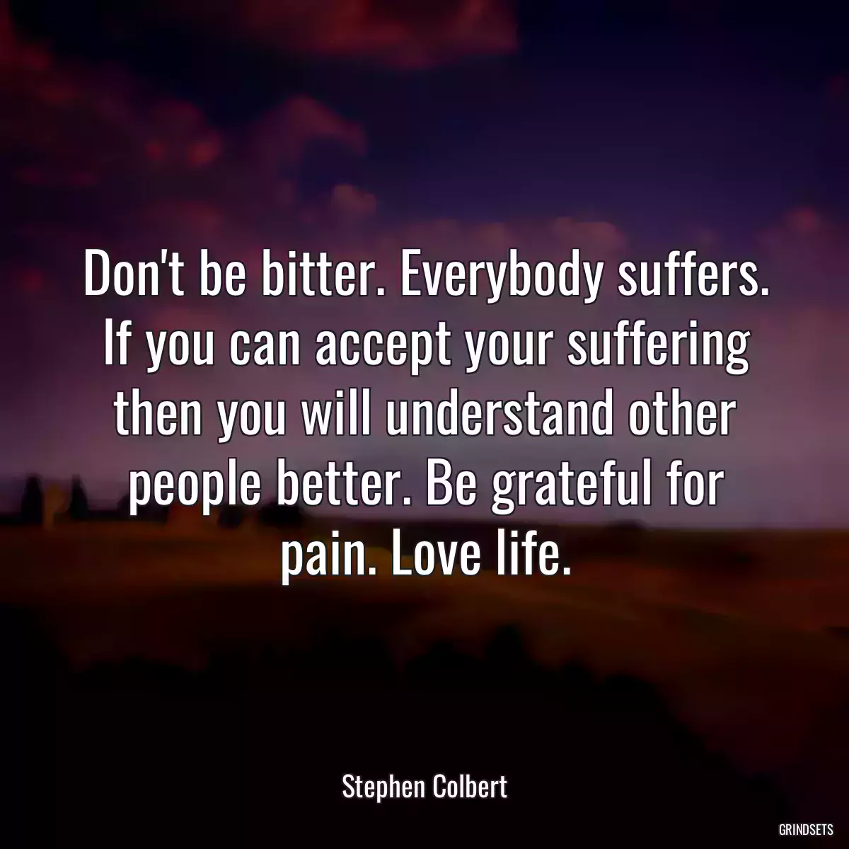 Don\'t be bitter. Everybody suffers. If you can accept your suffering then you will understand other people better. Be grateful for pain. Love life.