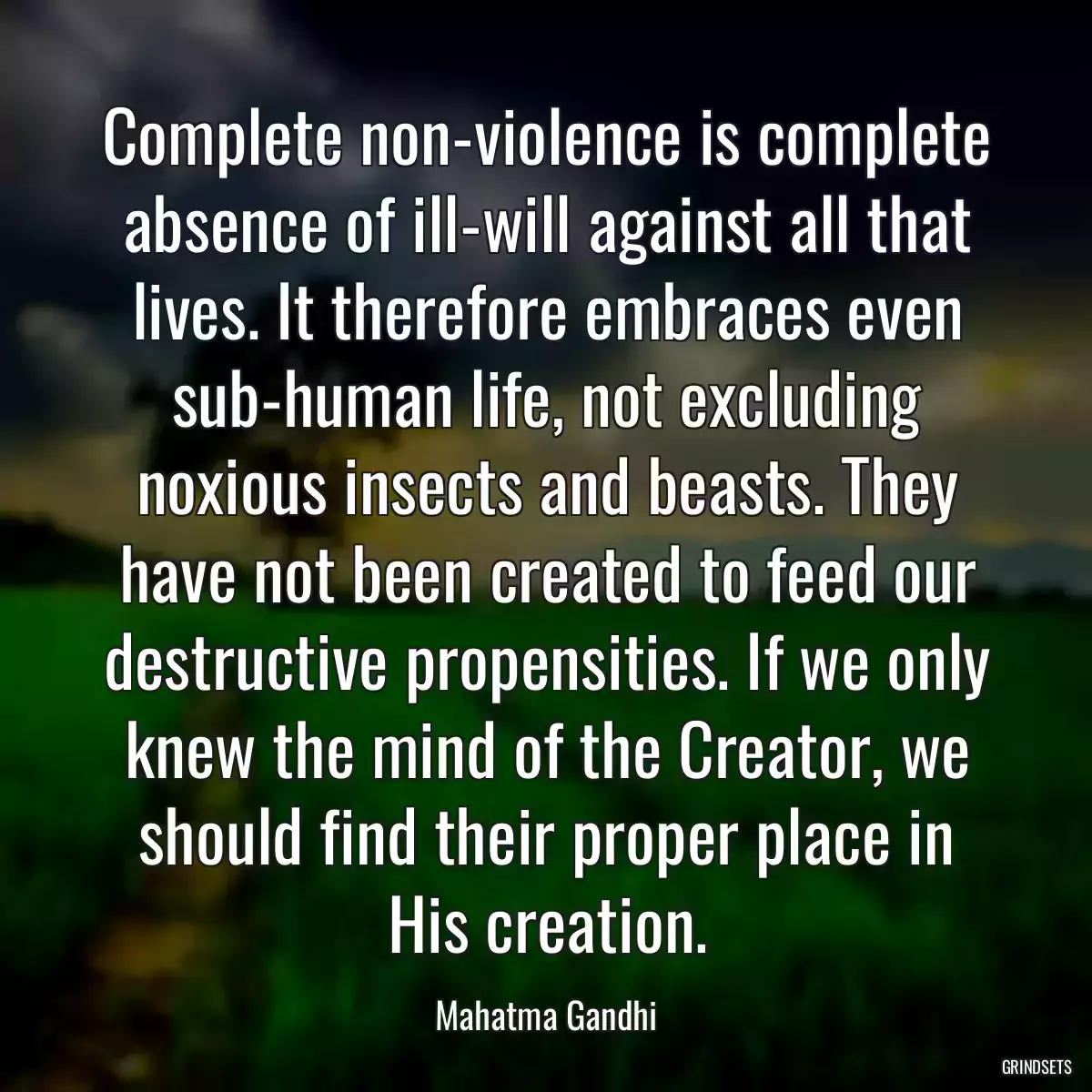 Complete non-violence is complete absence of ill-will against all that lives. It therefore embraces even sub-human life, not excluding noxious insects and beasts. They have not been created to feed our destructive propensities. If we only knew the mind of the Creator, we should find their proper place in His creation.