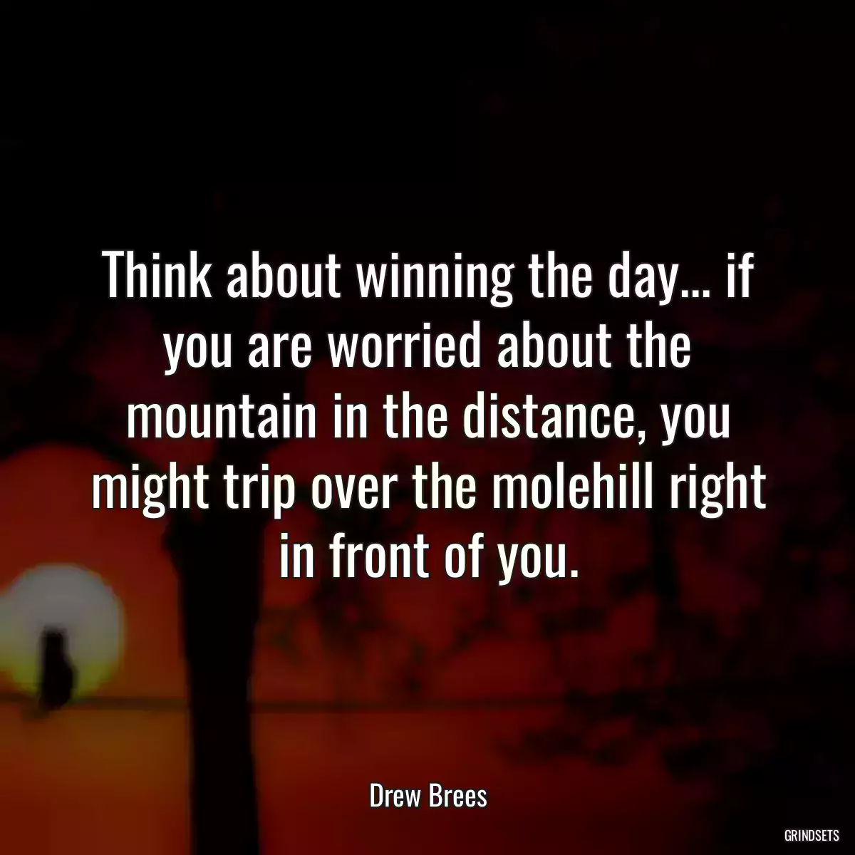 Think about winning the day... if you are worried about the mountain in the distance, you might trip over the molehill right in front of you.