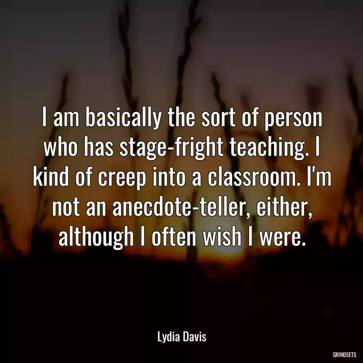 I am basically the sort of person who has stage-fright teaching. I kind of creep into a classroom. I\'m not an anecdote-teller, either, although I often wish I were.