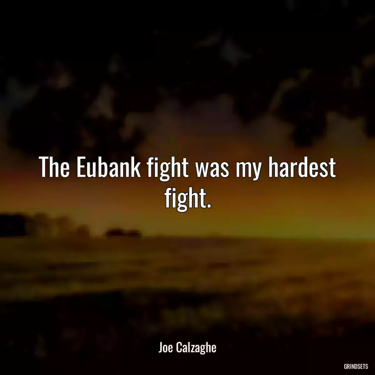 The Eubank fight was my hardest fight.