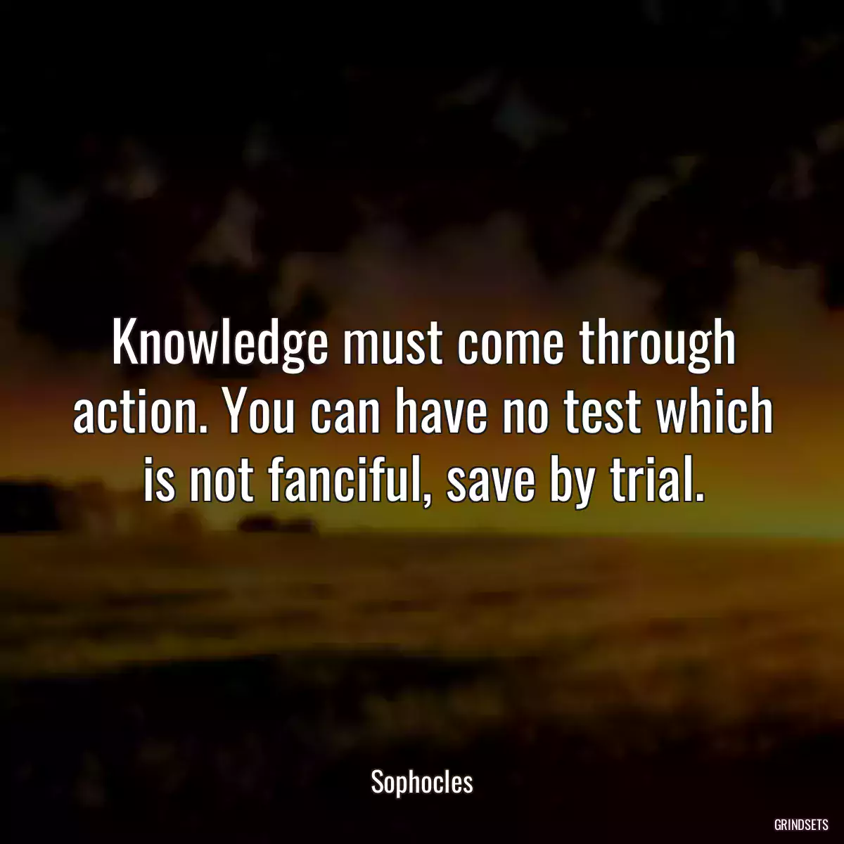 Knowledge must come through action. You can have no test which is not fanciful, save by trial.