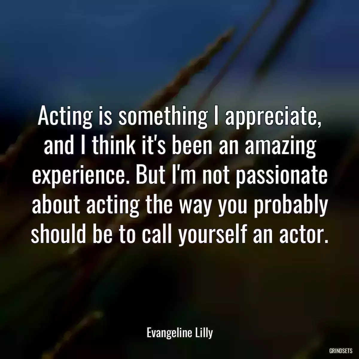 Acting is something I appreciate, and I think it\'s been an amazing experience. But I\'m not passionate about acting the way you probably should be to call yourself an actor.