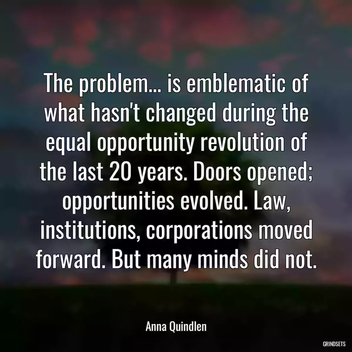 The problem... is emblematic of what hasn\'t changed during the equal opportunity revolution of the last 20 years. Doors opened; opportunities evolved. Law, institutions, corporations moved forward. But many minds did not.