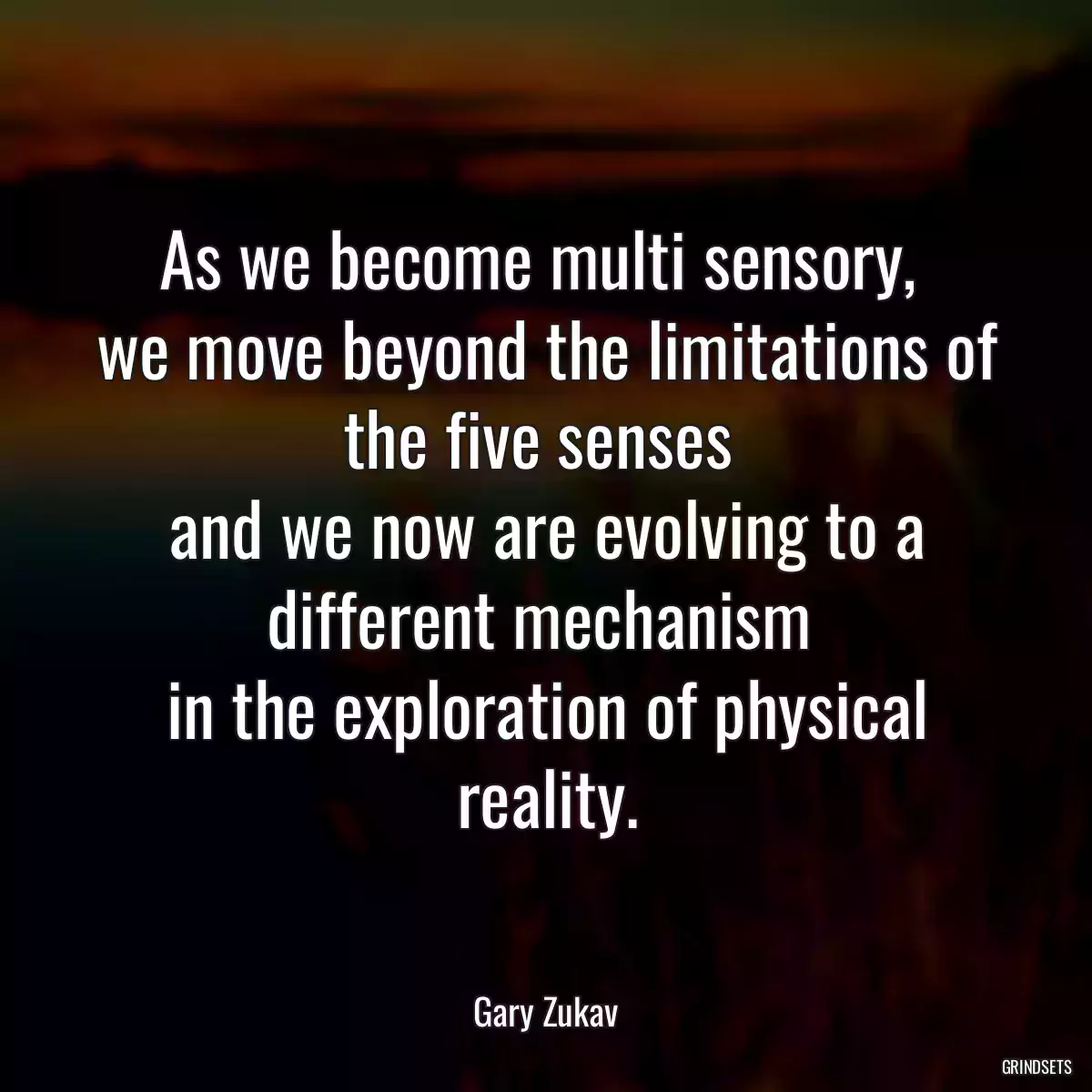 As we become multi sensory, 
we move beyond the limitations of the five senses 
and we now are evolving to a different mechanism 
in the exploration of physical reality.