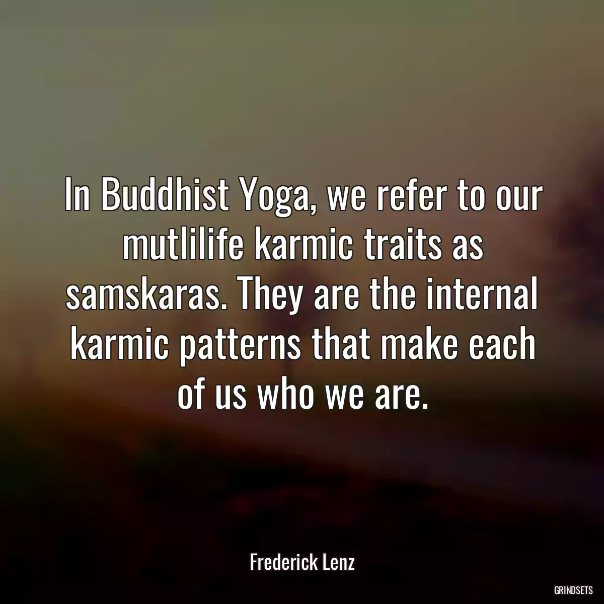 In Buddhist Yoga, we refer to our mutlilife karmic traits as samskaras. They are the internal karmic patterns that make each of us who we are.