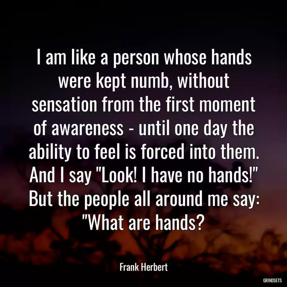 I am like a person whose hands were kept numb, without sensation from the first moment of awareness - until one day the ability to feel is forced into them. And I say \