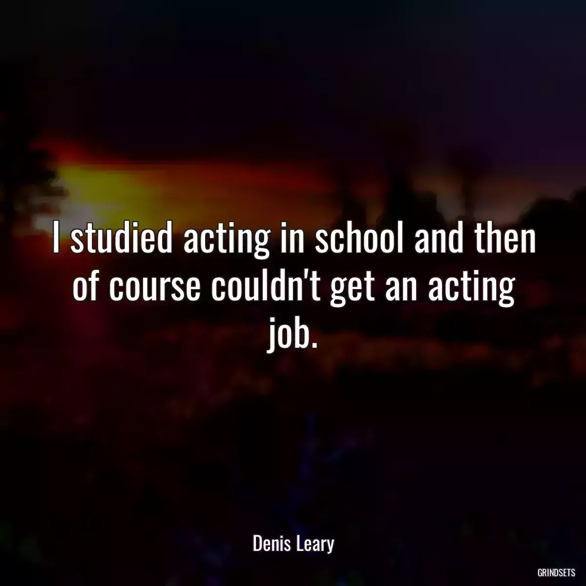 I studied acting in school and then of course couldn\'t get an acting job.