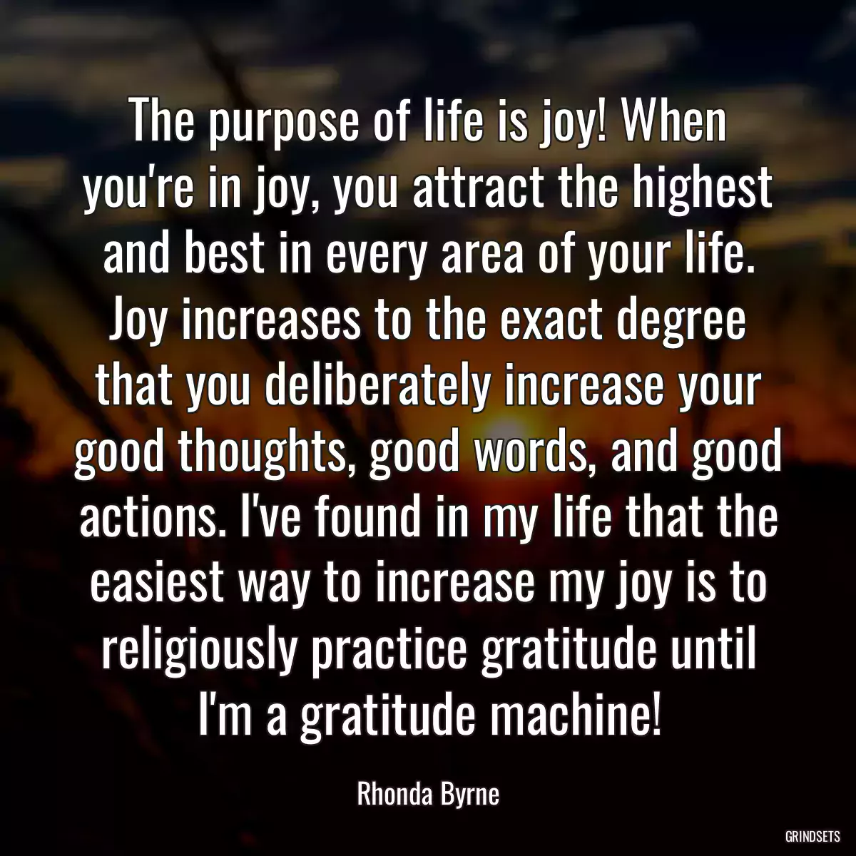 The purpose of life is joy! When you\'re in joy, you attract the highest and best in every area of your life. Joy increases to the exact degree that you deliberately increase your good thoughts, good words, and good actions. I\'ve found in my life that the easiest way to increase my joy is to religiously practice gratitude until I\'m a gratitude machine!