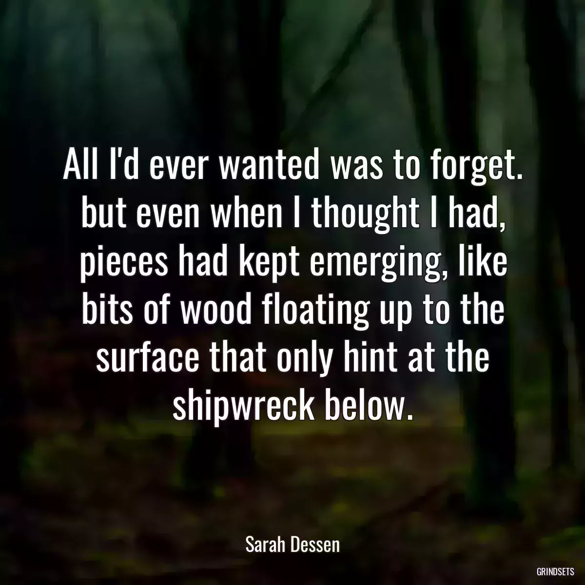 All I\'d ever wanted was to forget. but even when I thought I had, pieces had kept emerging, like bits of wood floating up to the surface that only hint at the shipwreck below.