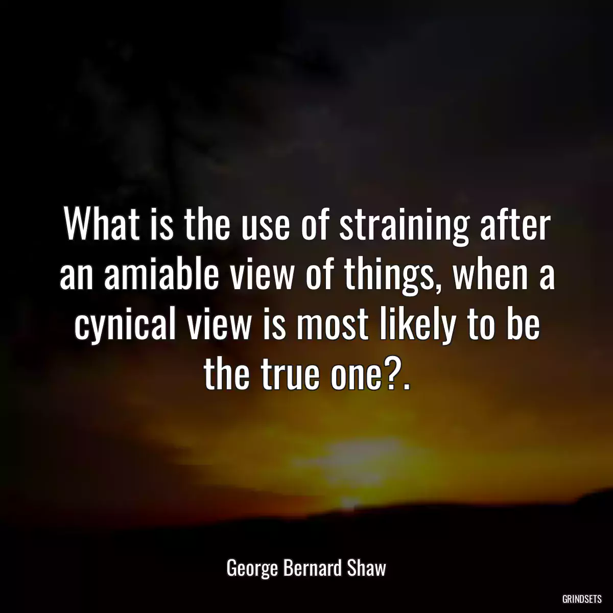 What is the use of straining after an amiable view of things, when a cynical view is most likely to be the true one?.