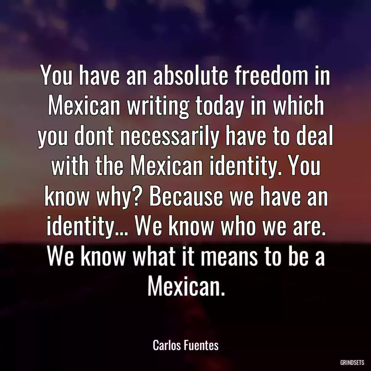 You have an absolute freedom in Mexican writing today in which you dont necessarily have to deal with the Mexican identity. You know why? Because we have an identity... We know who we are. We know what it means to be a Mexican.