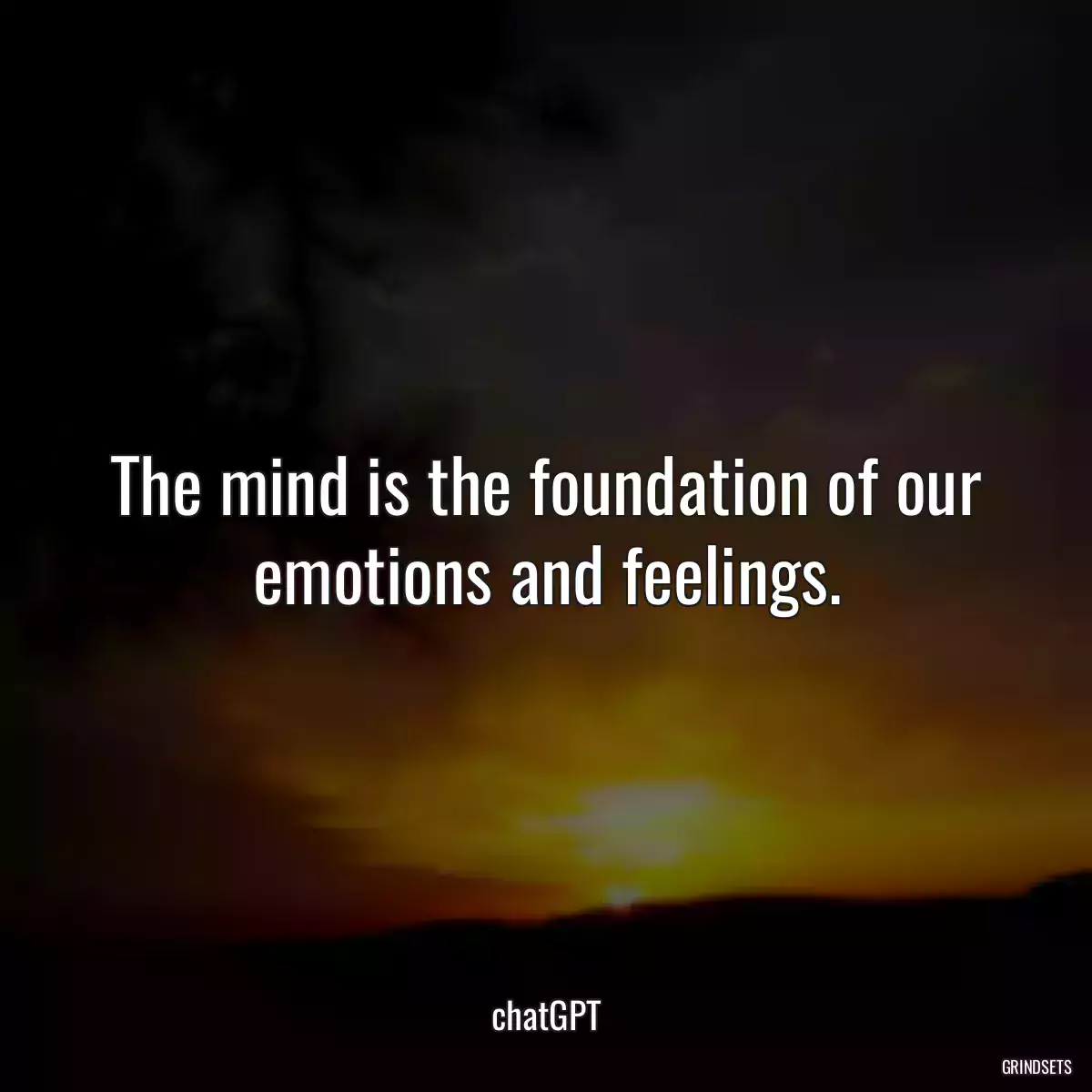 The mind is the foundation of our emotions and feelings.