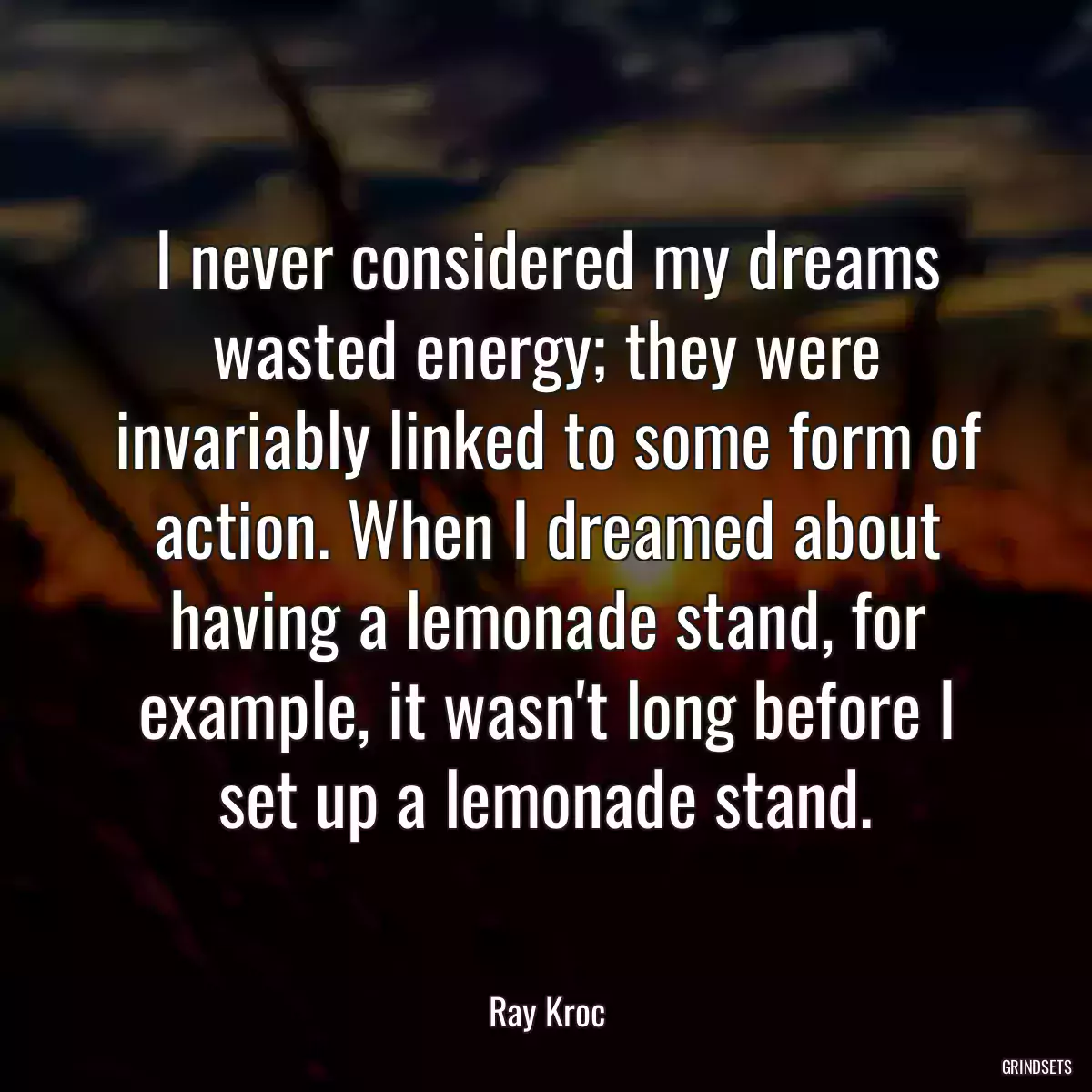 I never considered my dreams wasted energy; they were invariably linked to some form of action. When I dreamed about having a lemonade stand, for example, it wasn\'t long before I set up a lemonade stand.