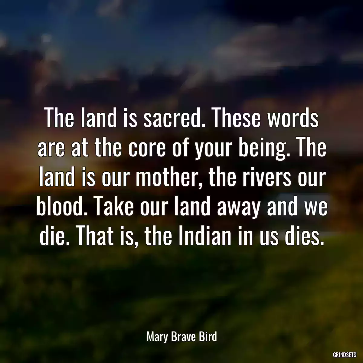 The land is sacred. These words are at the core of your being. The land is our mother, the rivers our blood. Take our land away and we die. That is, the Indian in us dies.