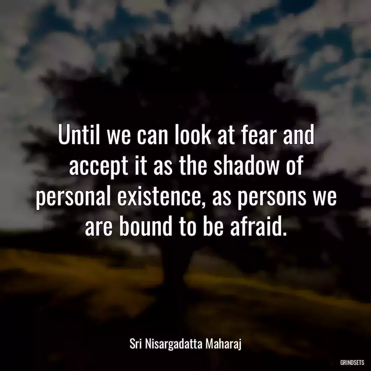 Until we can look at fear and accept it as the shadow of personal existence, as persons we are bound to be afraid.