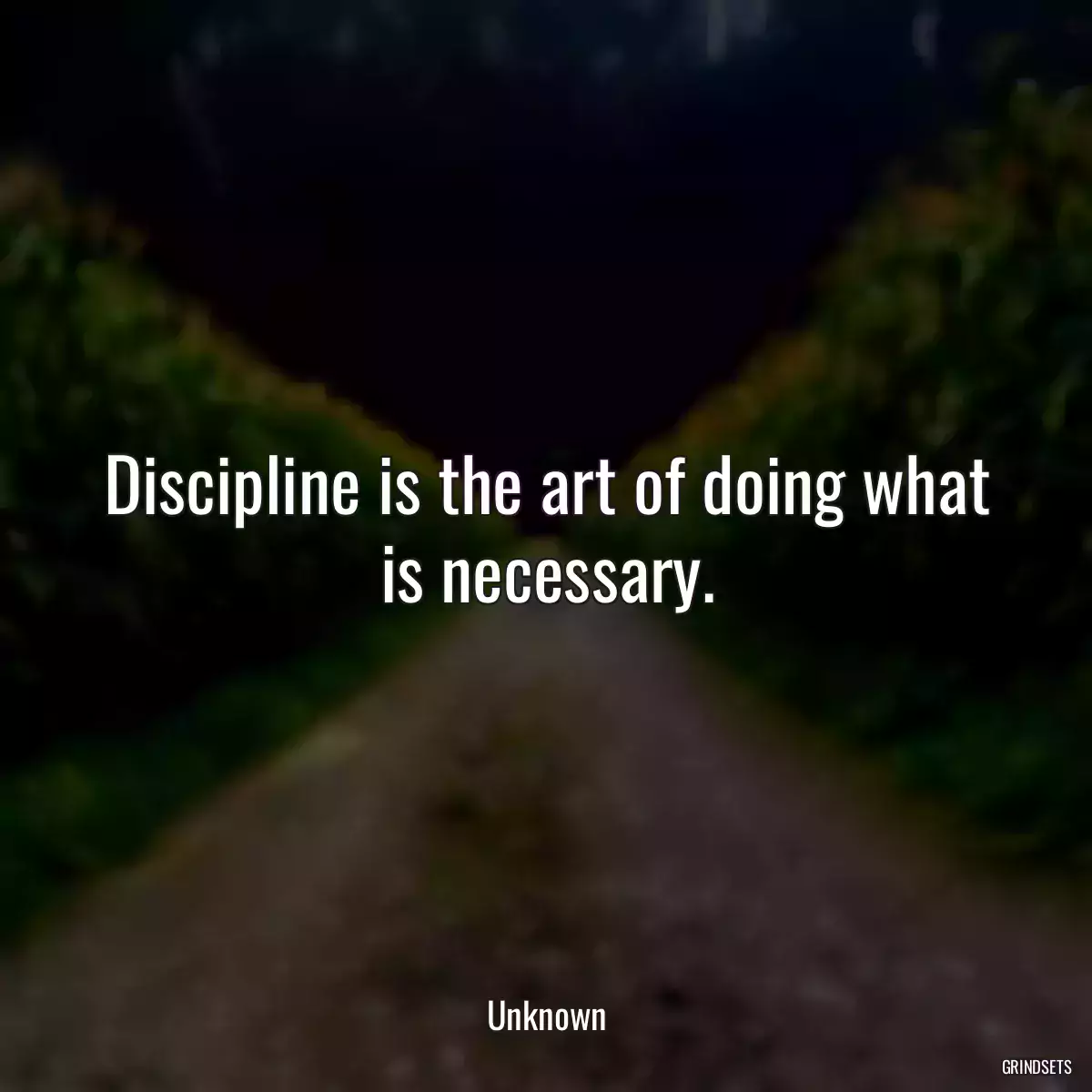 Discipline is the art of doing what is necessary.