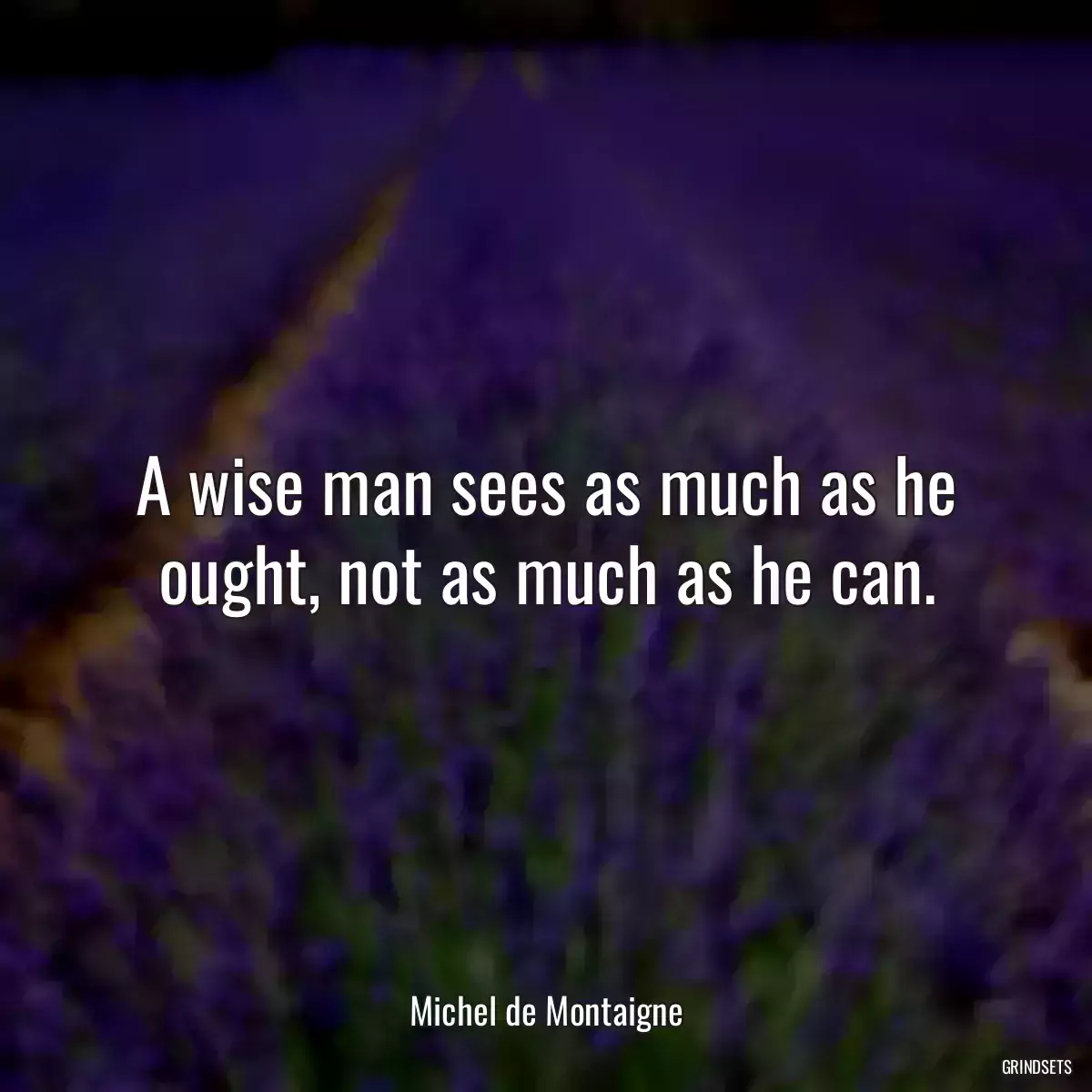 A wise man sees as much as he ought, not as much as he can.