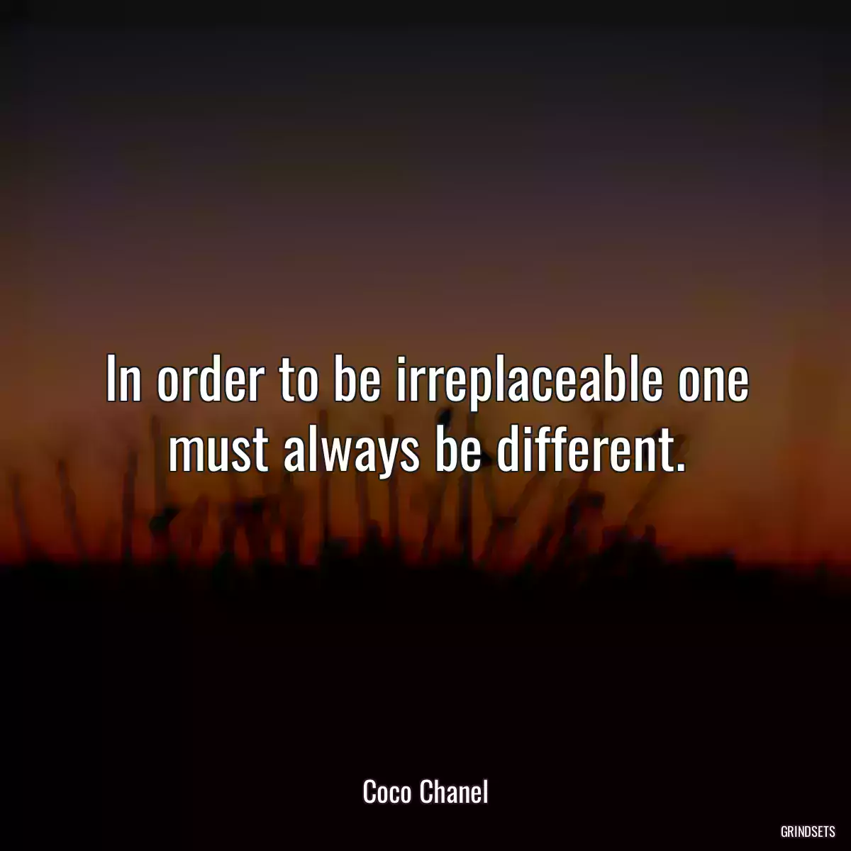 In order to be irreplaceable one must always be different.