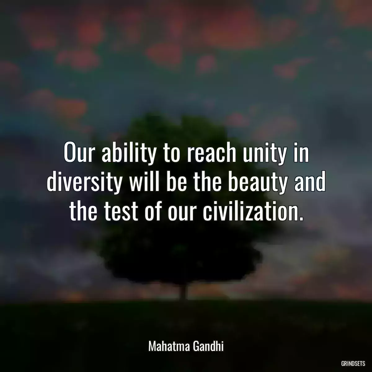 Our ability to reach unity in diversity will be the beauty and the test of our civilization.