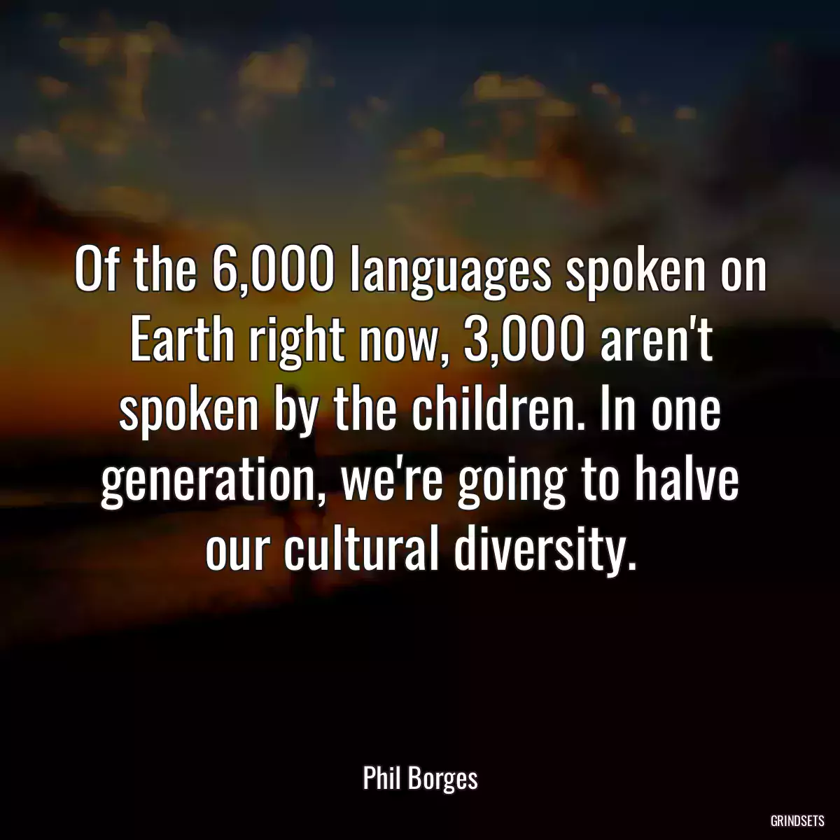 Of the 6,000 languages spoken on Earth right now, 3,000 aren\'t spoken by the children. In one generation, we\'re going to halve our cultural diversity.