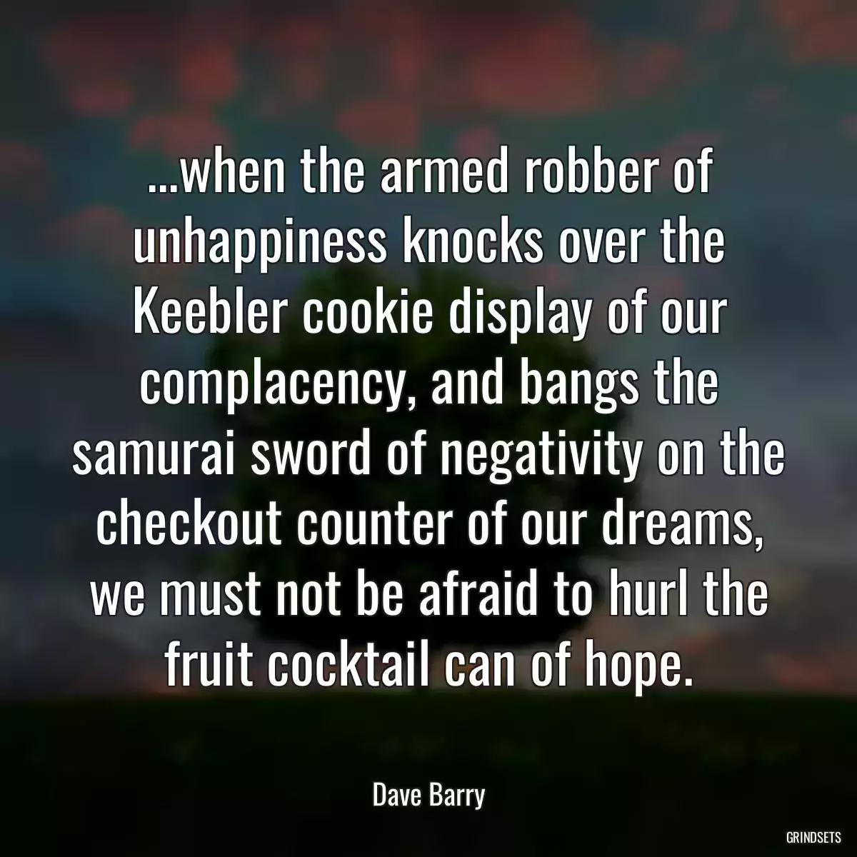 ...when the armed robber of unhappiness knocks over the Keebler cookie display of our complacency, and bangs the samurai sword of negativity on the checkout counter of our dreams, we must not be afraid to hurl the fruit cocktail can of hope.