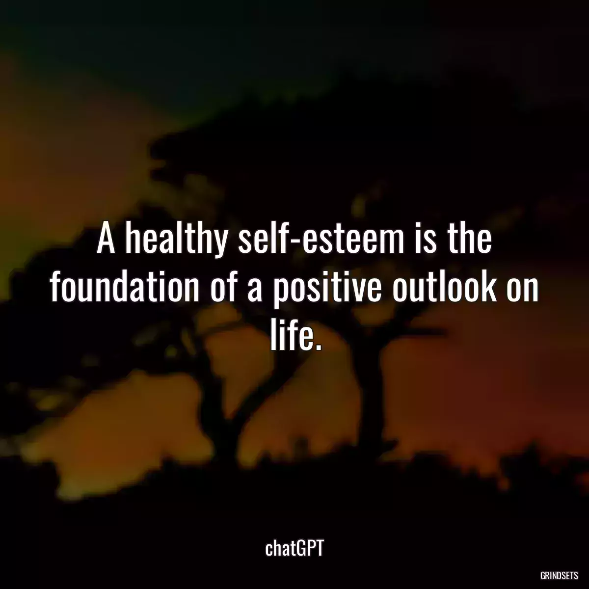 A healthy self-esteem is the foundation of a positive outlook on life.