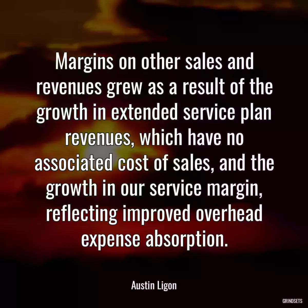 Margins on other sales and revenues grew as a result of the growth in extended service plan revenues, which have no associated cost of sales, and the growth in our service margin, reflecting improved overhead expense absorption.