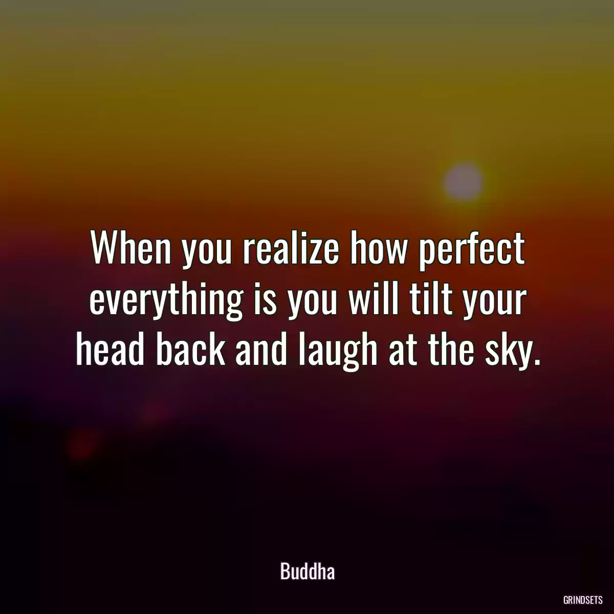 When you realize how perfect everything is you will tilt your head back and laugh at the sky.