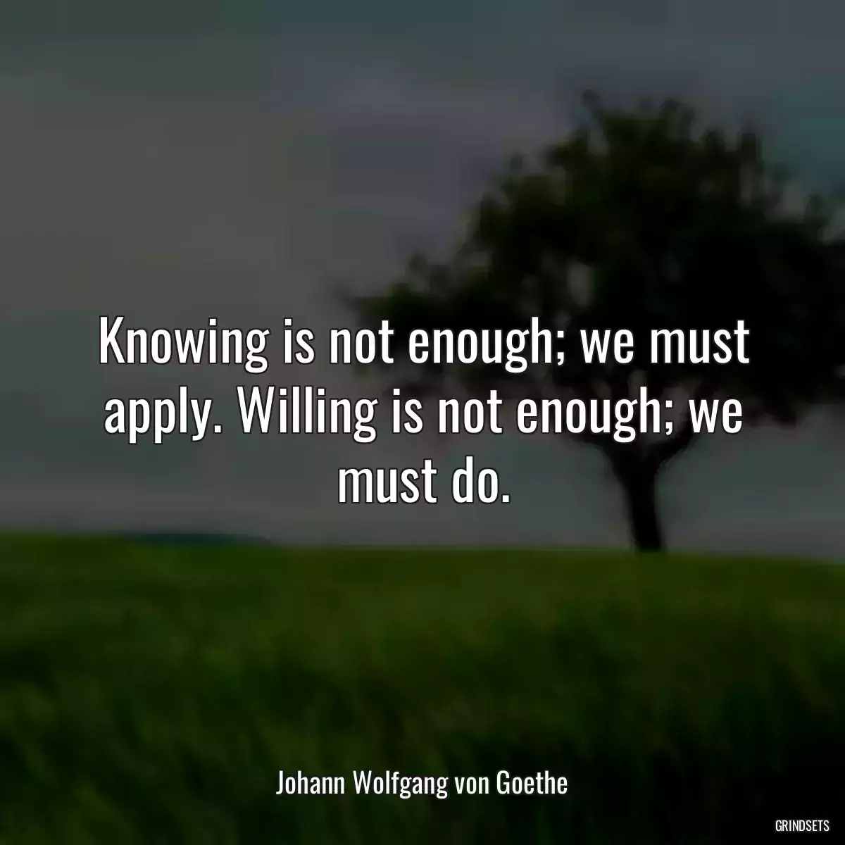 Knowing is not enough; we must apply. Willing is not enough; we must do.