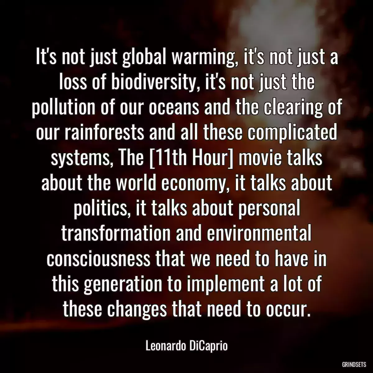 It\'s not just global warming, it\'s not just a loss of biodiversity, it\'s not just the pollution of our oceans and the clearing of our rainforests and all these complicated systems, The [11th Hour] movie talks about the world economy, it talks about politics, it talks about personal transformation and environmental consciousness that we need to have in this generation to implement a lot of these changes that need to occur.