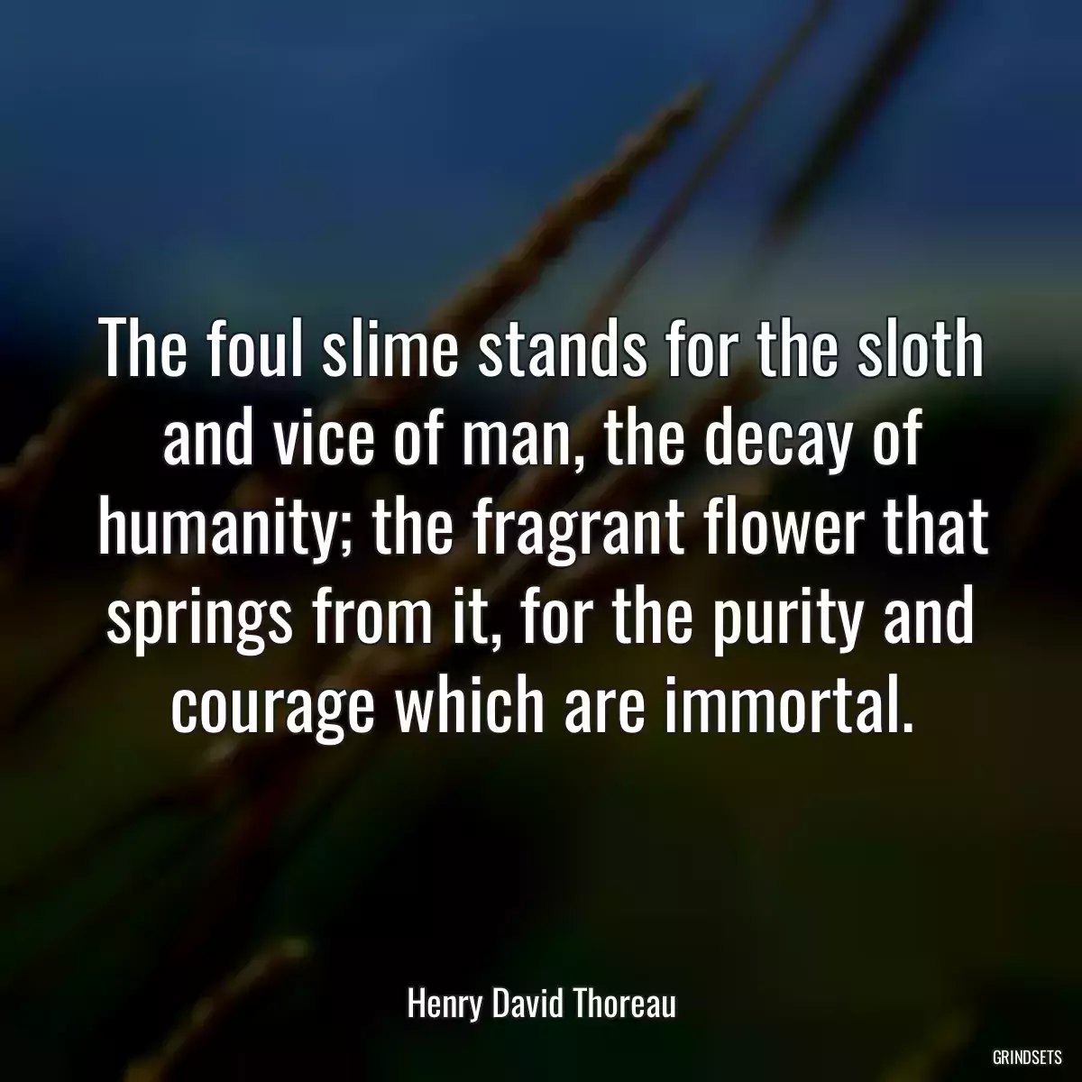 The foul slime stands for the sloth and vice of man, the decay of humanity; the fragrant flower that springs from it, for the purity and courage which are immortal.