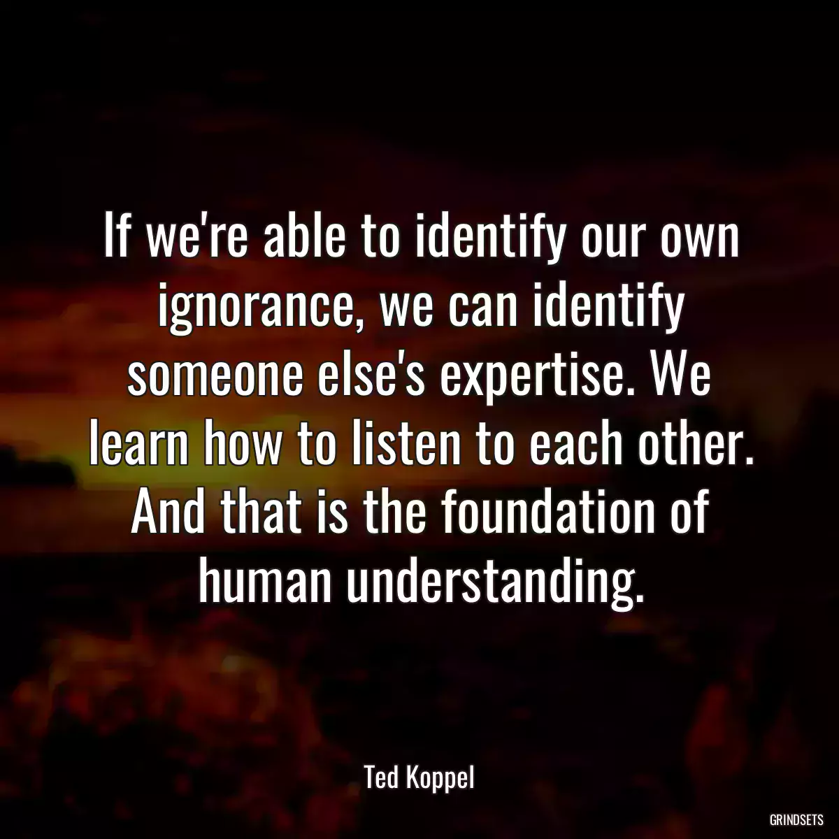 If we\'re able to identify our own ignorance, we can identify someone else\'s expertise. We learn how to listen to each other. And that is the foundation of human understanding.