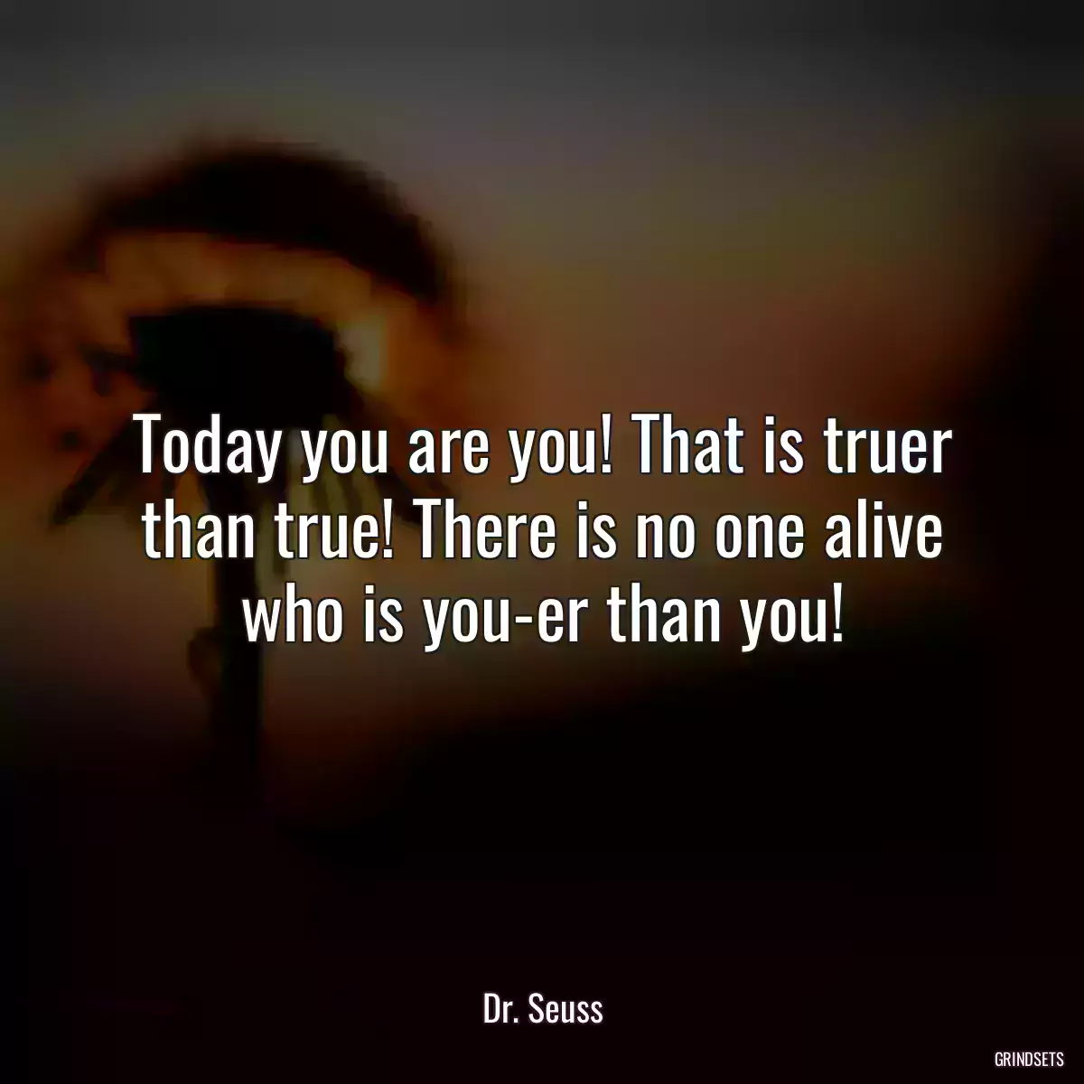 Today you are you! That is truer than true! There is no one alive who is you-er than you!