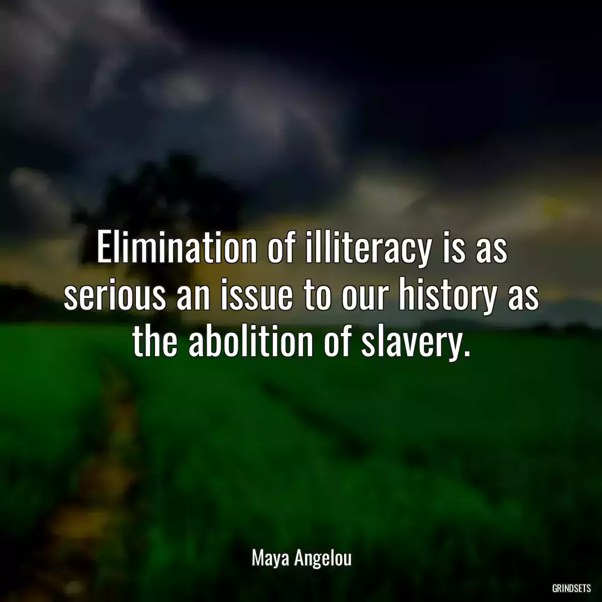 Elimination of illiteracy is as serious an issue to our history as the abolition of slavery.